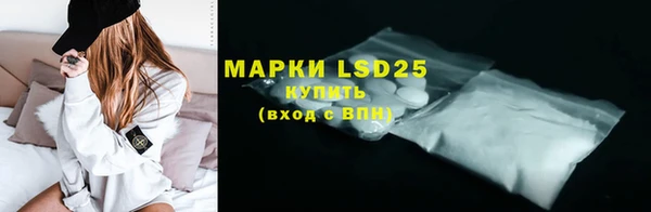 гидра Новодвинск