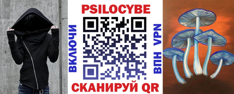 что такое   Куйбышев  Галлюциногенные грибы мицелий 