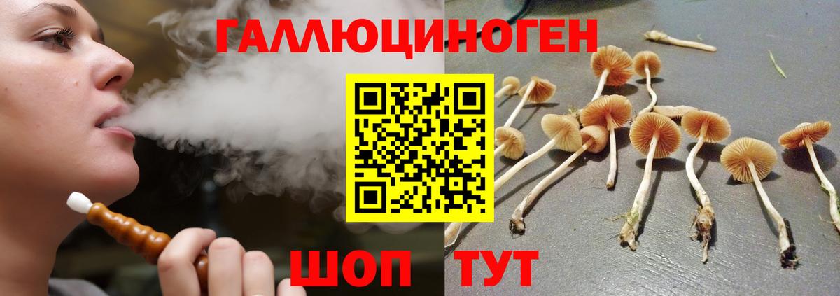 Галлюциногенные грибы мицелий  Вход с VPN  Куйбышев  Псилоцибиновые грибы Psilocybine cubensis 